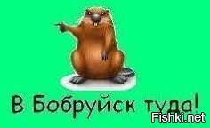Шляпа фигню не посоветует