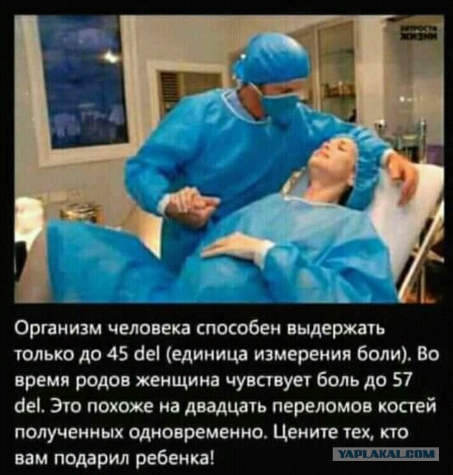 Куча мала 8