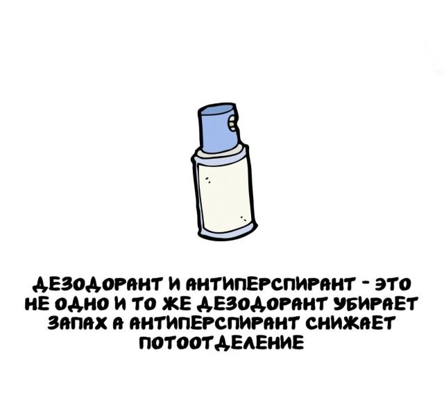 Подборка интересных фактов на все случаи жизни 26.11.25