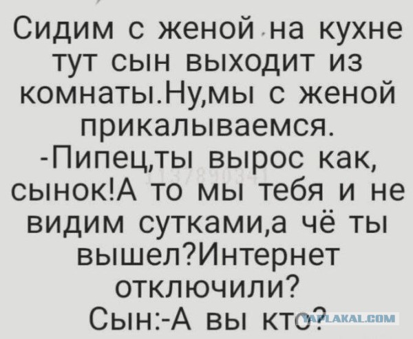 Картинки для деградации 110 (разной степени свежести)