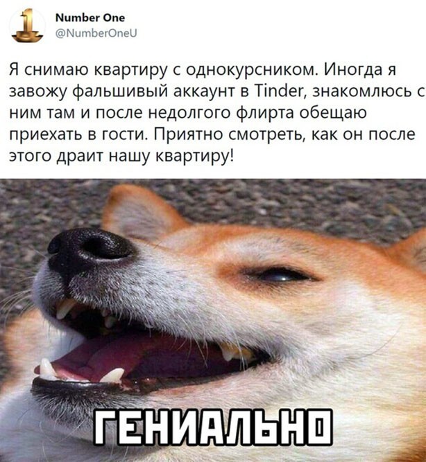 Картиночки, баянчики 02 февраля