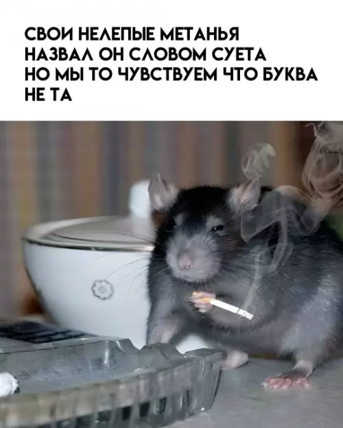 Картиночки, баянчики 07 февраля