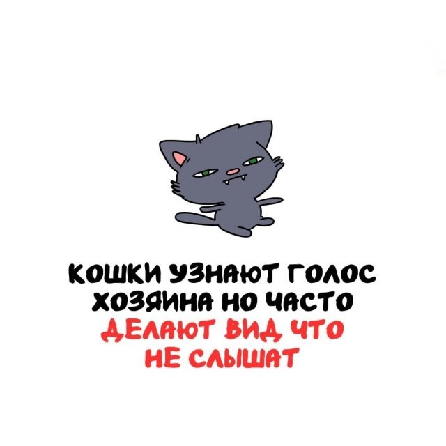 Интересные и короткие факты на все случаи жизни 19.04.26