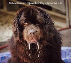 Пусть будет рыбосреда, если позволите