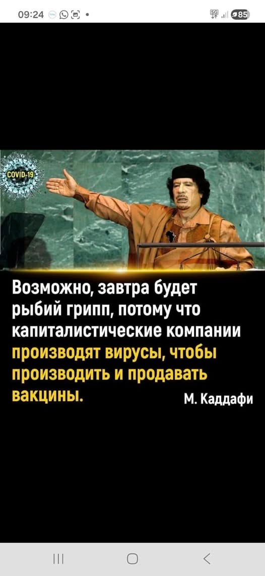 Картиночки, баянчики 26 мая