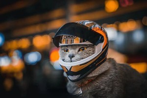 С ветерком
