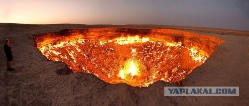 Воронка съела деревья