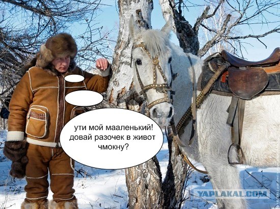 Путин по-хакасски