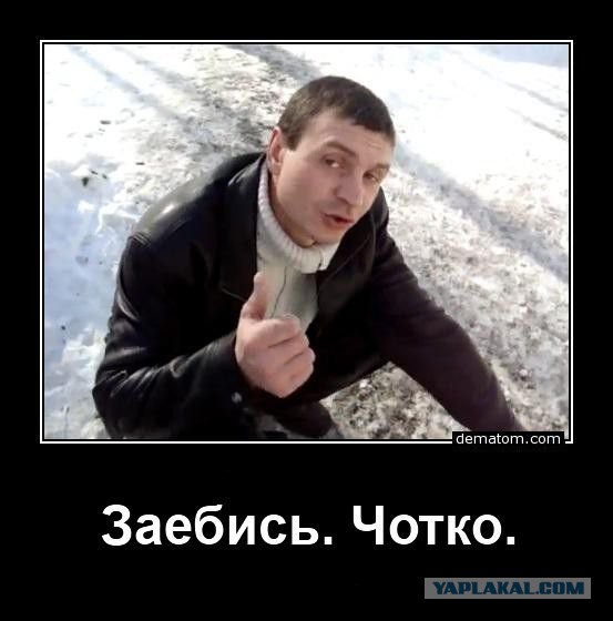 А ну стой!