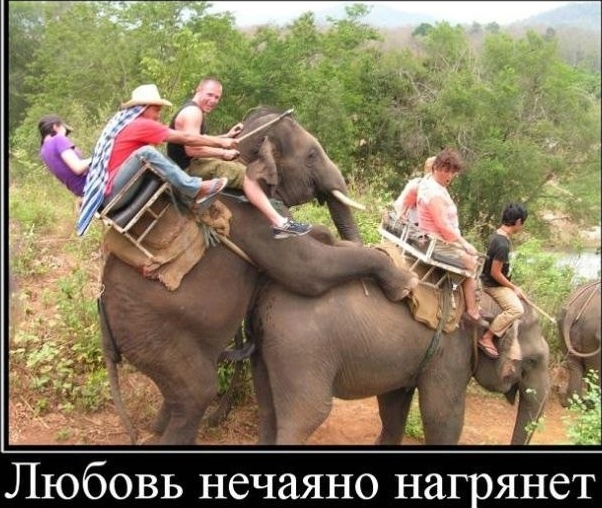 Поиграем?