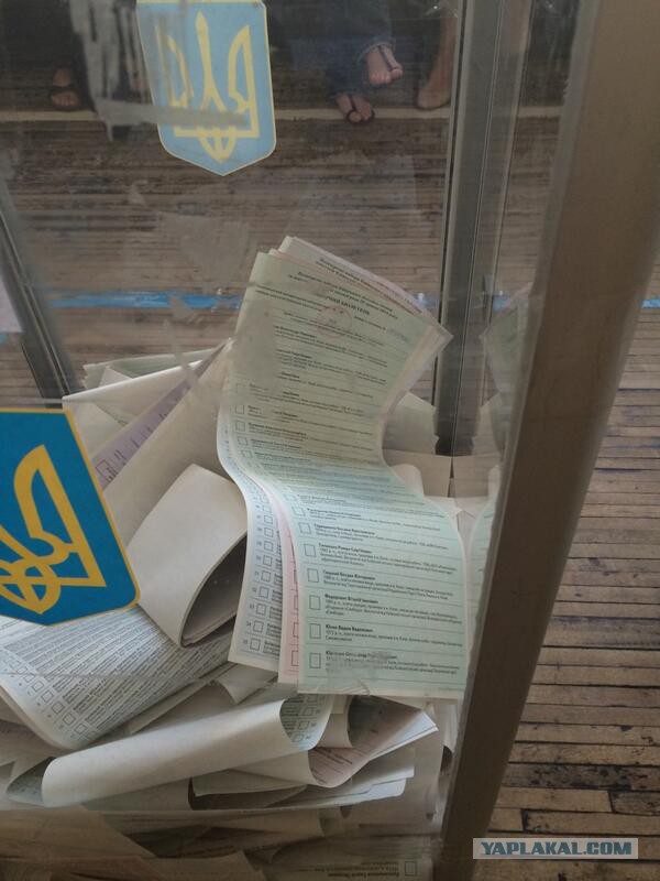 Выборы в Украине. Самые честные!