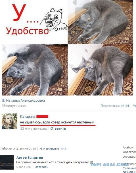 Смешные комментарии из социальных сетей