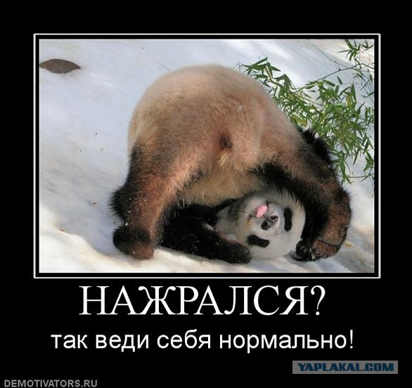 Чёрт, чёрт, чёрт!