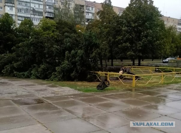 Шторм в Запорожье