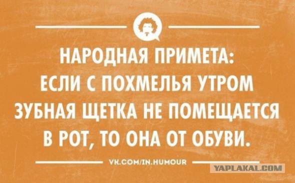 Подборка веселых картинок