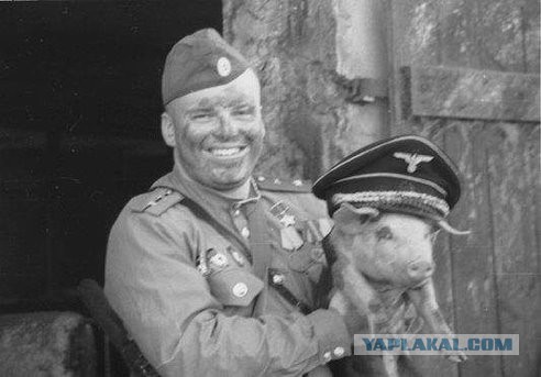 Обыкновенный фашизм