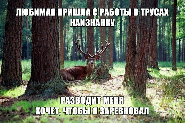 Смешные картинки