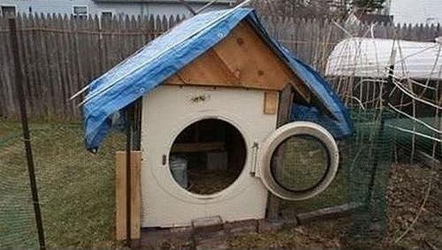 Весёлые картинки