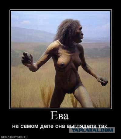 Взял у папы надувной матрас поплавать