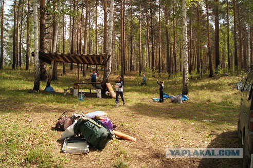 Первая...