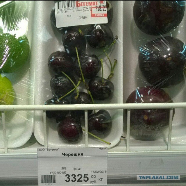 Всего одно фото