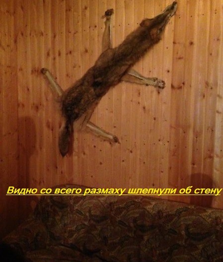 Картинки из инета обо всем