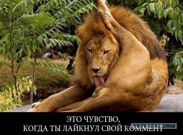 Подборка приколов на пятницу