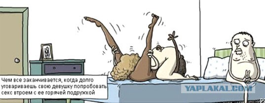Ушла девушка к другой девушке жить.