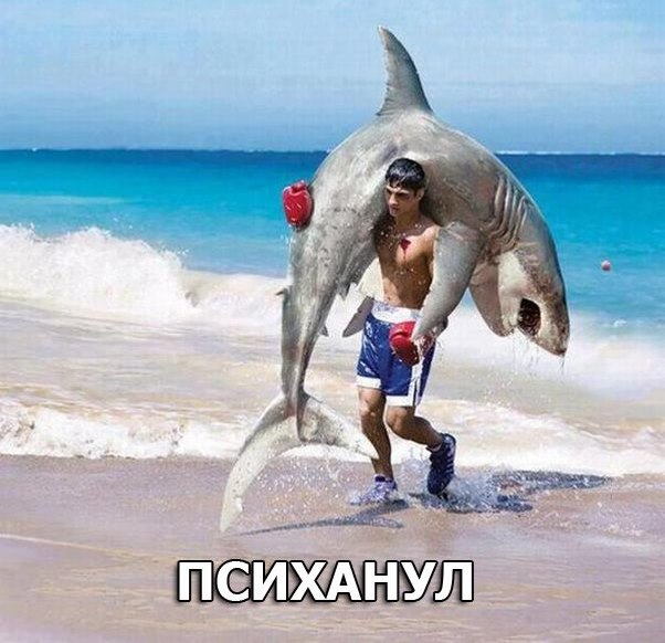 Картинки
