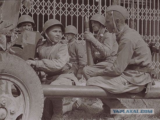 Фотографии с войны