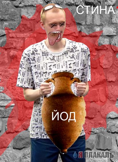 Жаба про гопника