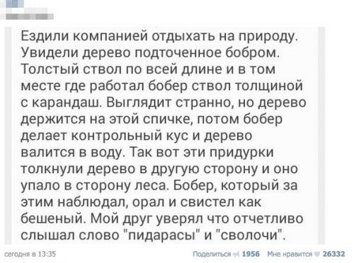 Смешные комментарии 08.03.2016