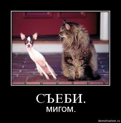 Демотиваторов немножко.