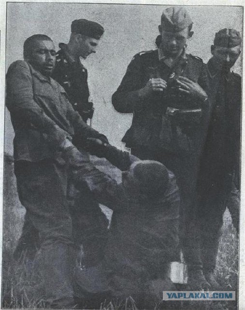 Расстрелы