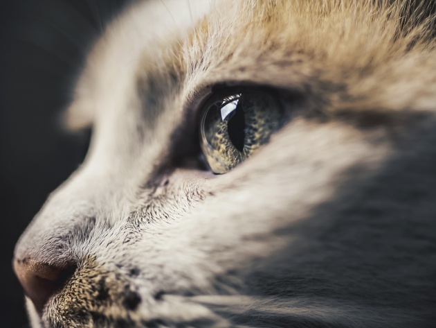 Подборка интересных и веселых фото