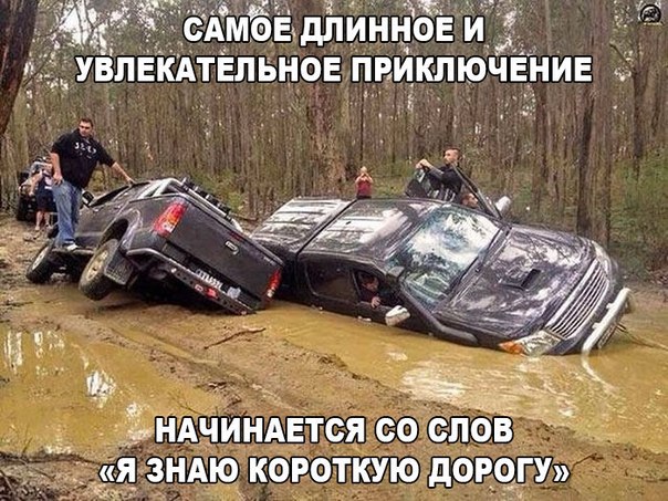 Ассорти картинок из сети