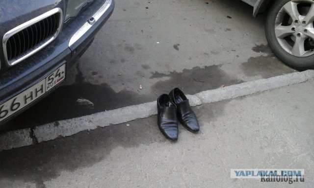Подборка любопытных фотографий со всего света