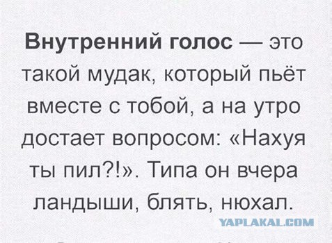 Пишу вам, други моя, с неимоверно лютого бодуна