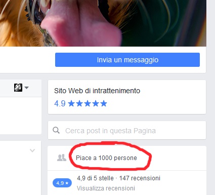 ЯП на Facebook: возрождение