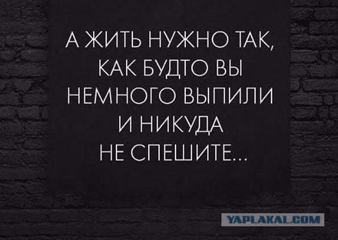 Высказывания и мысли в картинках