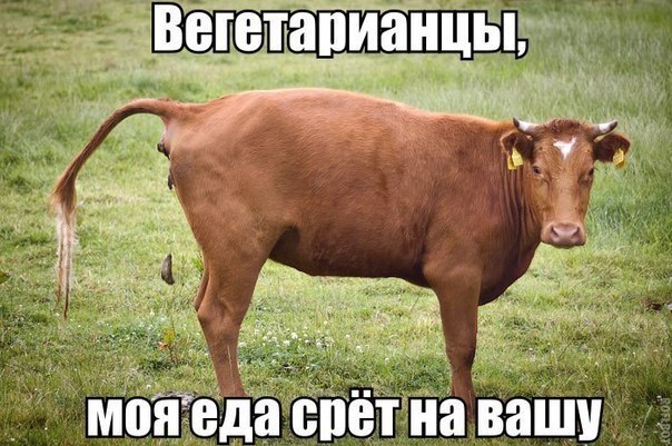 Веганы
