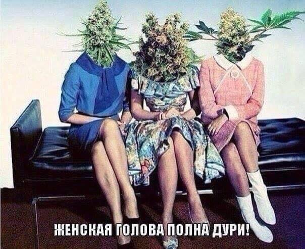 Всячина. Картинки и тексты картинками