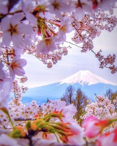 Моменты, запечатлённые на фото и просто позитив 5
