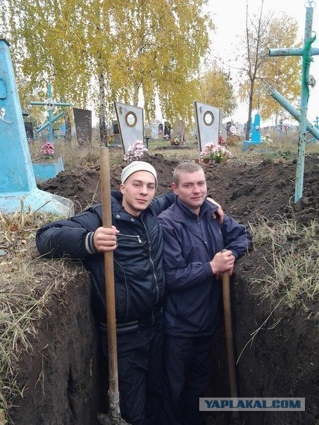 Ужасы и приколы из соцсетей