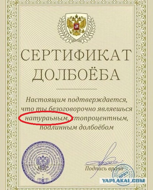 Картинки всякие для поднятия настроения!