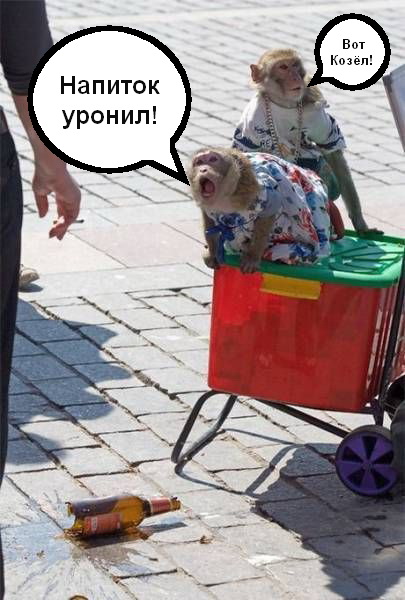 Подборка интересных и веселых картинок