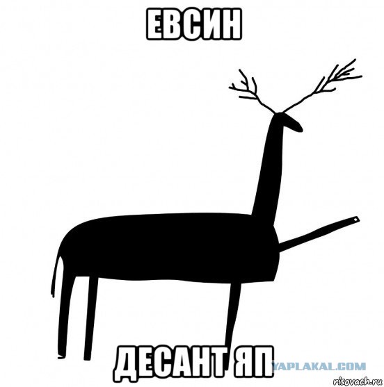 ЦОДД наехал на ЯП