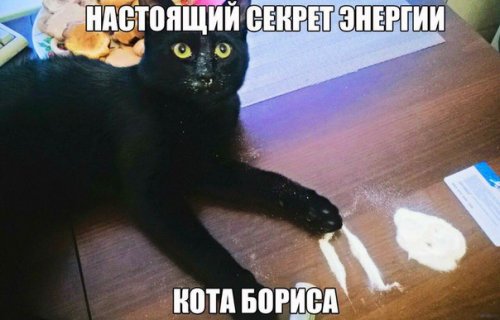 Подборка прикольных картинок на среду