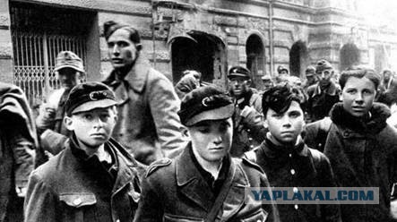 Геббельс был бы доволен