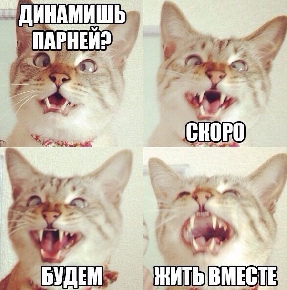 Идиотизм как образ жизни